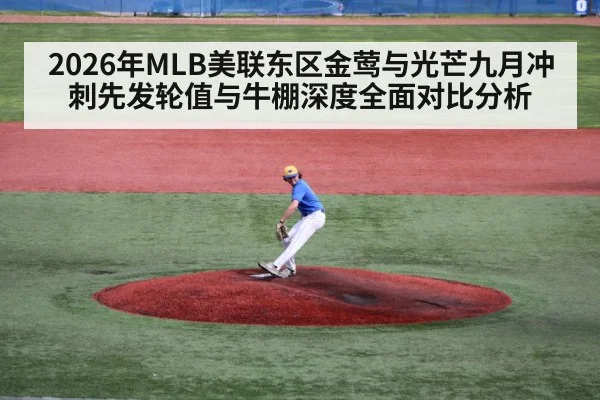baseball pitcher throwing mound