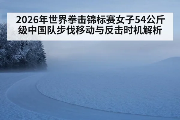 2026年世界拳击锦标赛女子54公斤级中国队步伐移动与反击时机解析